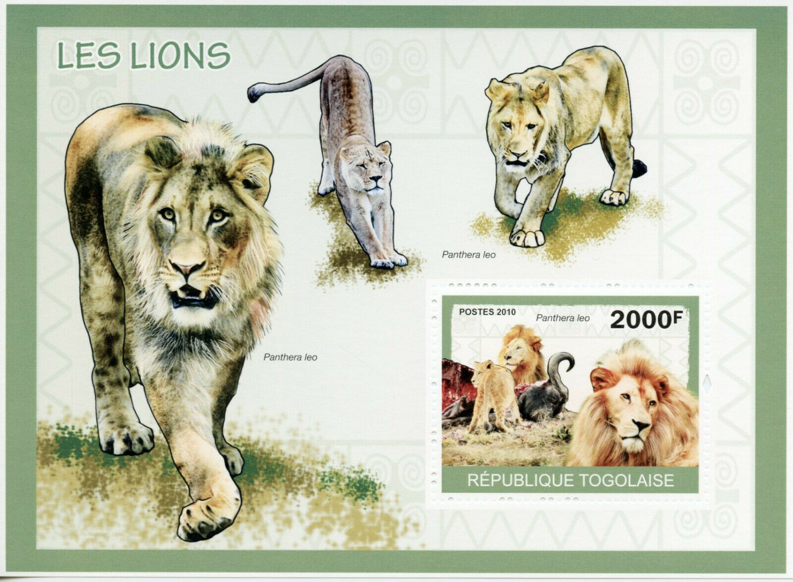 Togo Wild Animals Stamps 2010 MNH Lions Lion Fauna 1v S/S