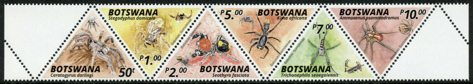 Botswana Spiders Stamps 2020 MNH Spider Fauna 6v Strip