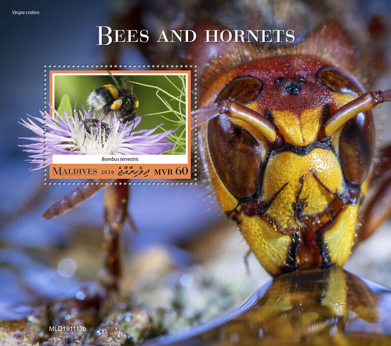 Maldives Insects Stamps 2020 MNH Bees & Hornets Insect 1v S/S