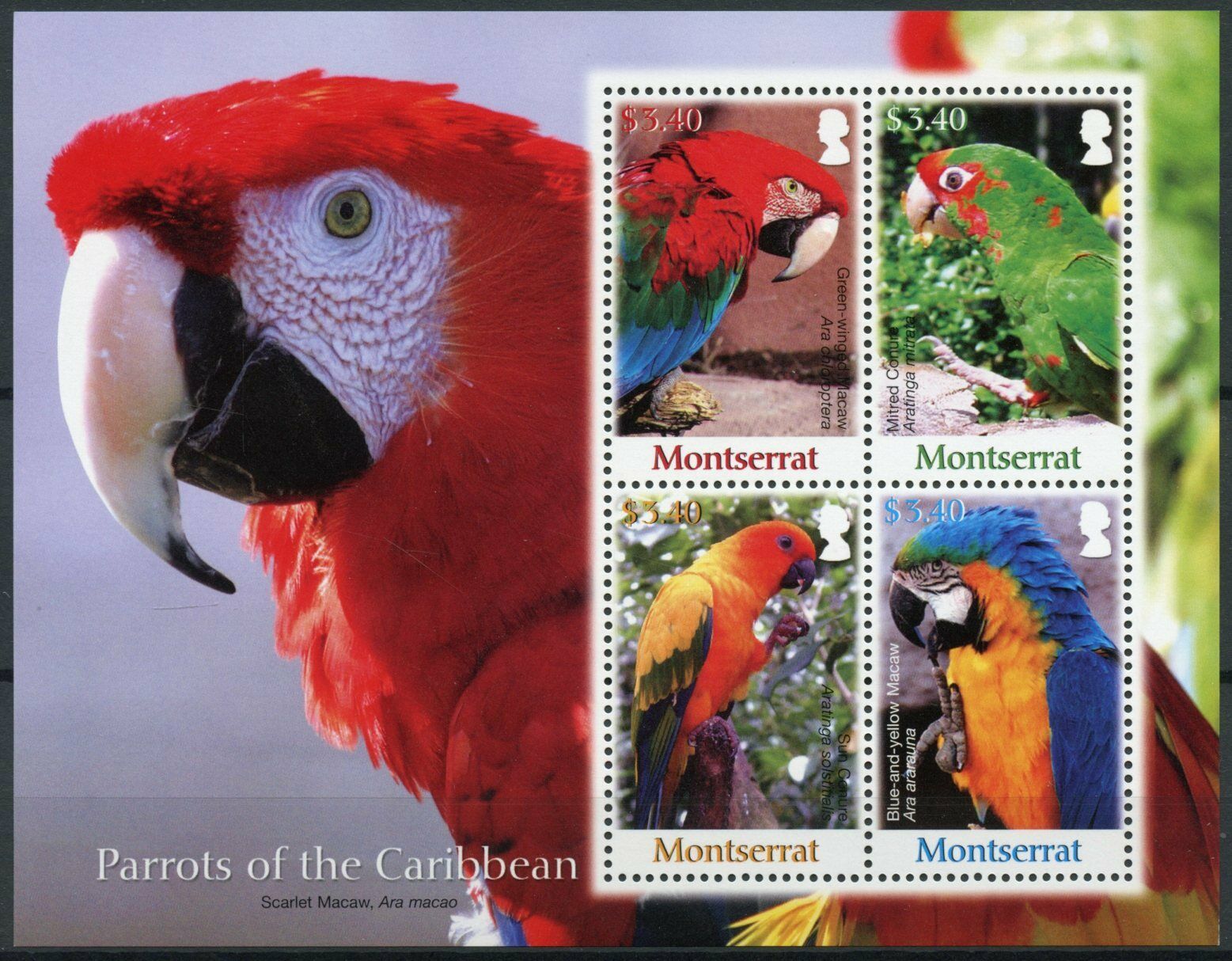 Montserrat 2007 MNH Birds on Stamps Parrots of Caribbean Macaws Conures 4v M/S