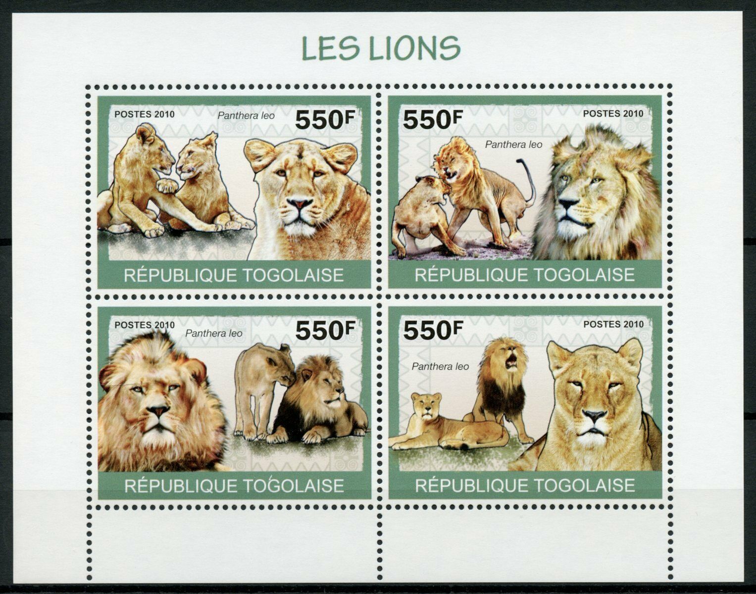 Togo Wild Animals Stamps 2010 MNH Lions Lion Fauna 4v M/S