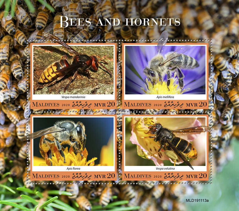 Maldives Insects Stamps 2020 MNH Bees & Hornets Insect 4v M/S
