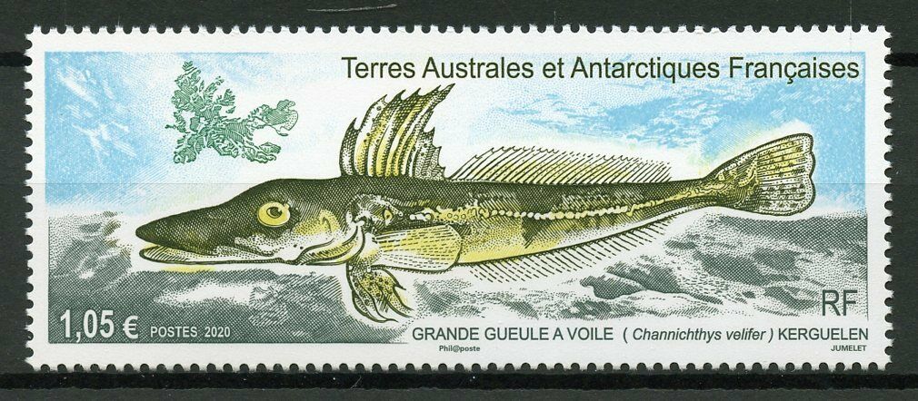 FSAT TAAF Fish Stamps 2020 MNH Icefish Fishes Channichthys velifer 1v Set