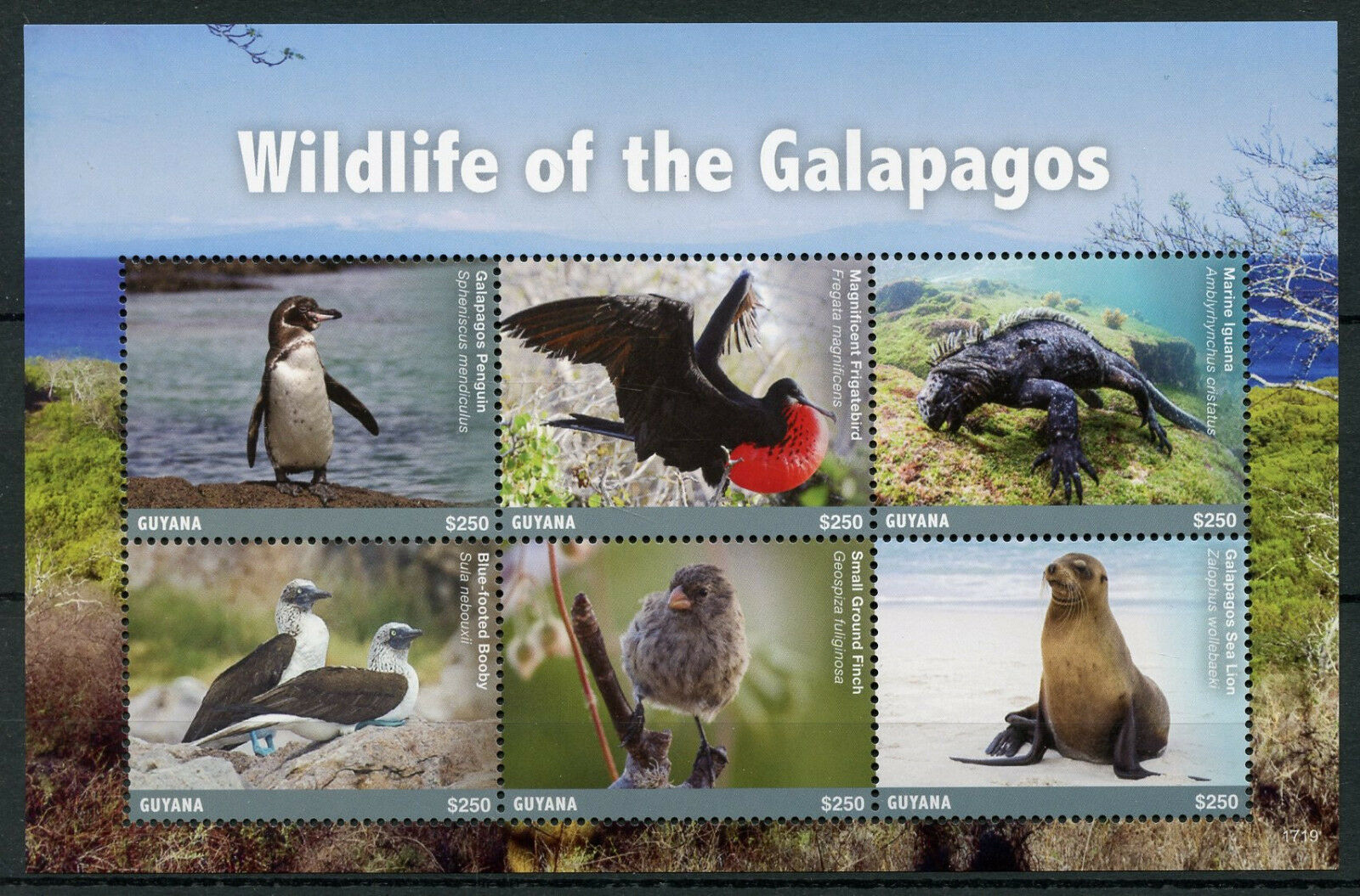 Guyana 2017 MNH Birds on Stamps Galapagos Wildlife Penguins Iguanas Finches 6v M/S