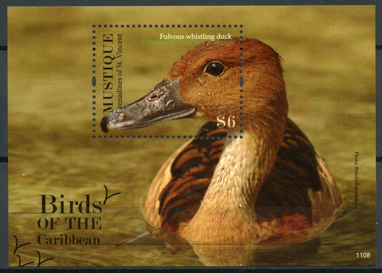 Mustique Gren St Vincent Stamps 2011 MNH Birds of Caribbean on Stamps Fulvous Duck 1v S/S I