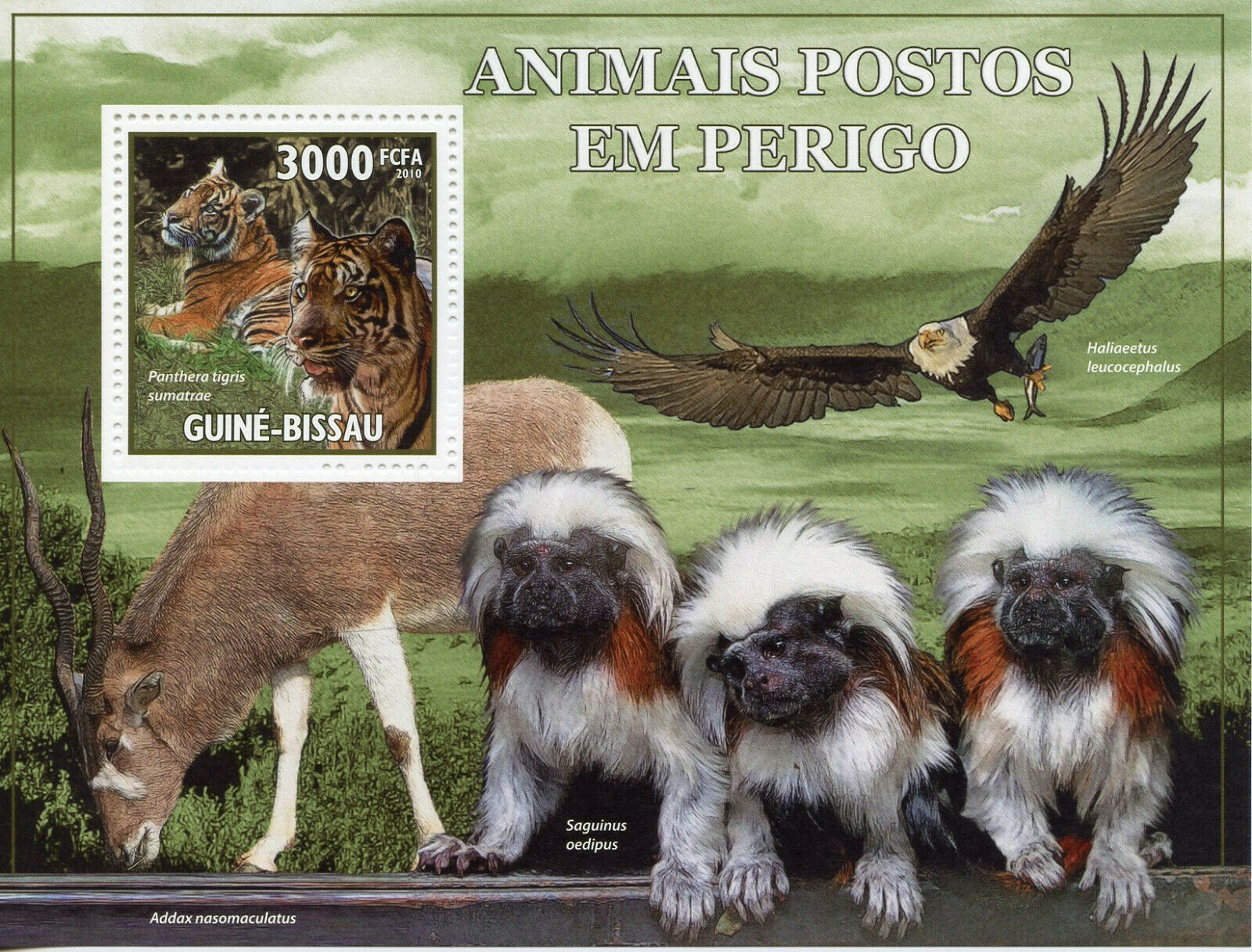 Guinea-Bissau Wild Animals Stamps 2010 MNH Tigers Eagles Monkeys Fauna 1v S/S