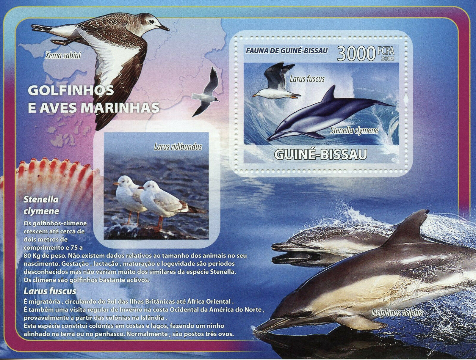 Guinea-Bissau Dolphins & Birds on Stamps 2008 MNH Gulls Seashells Marine 1v S/S