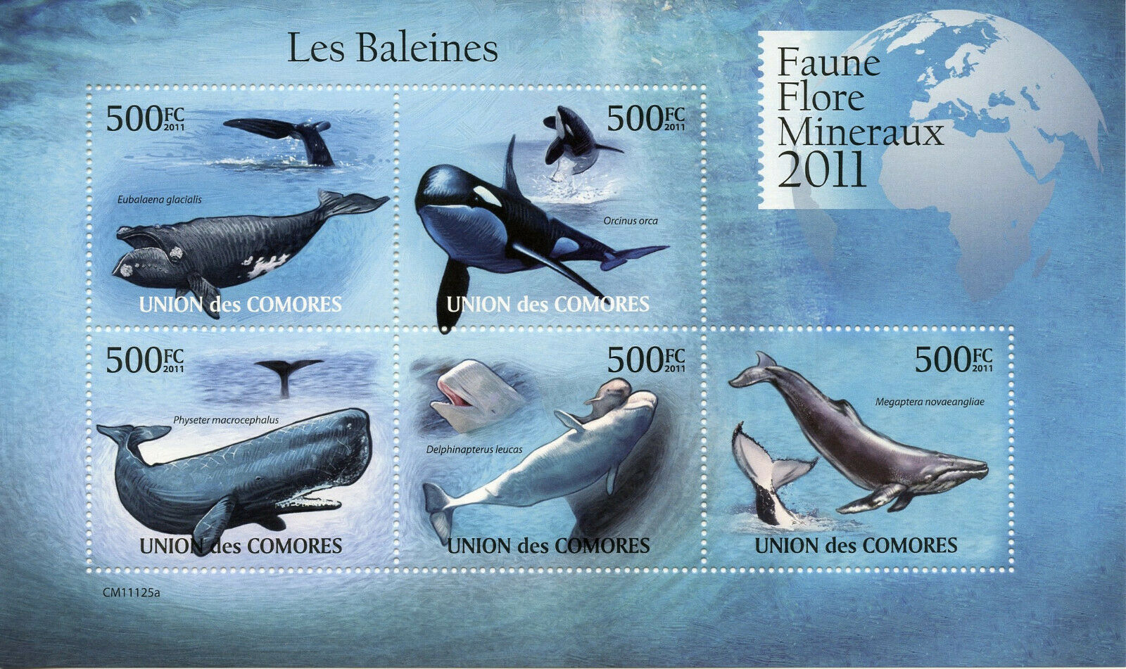 Comoros Marine Animals Stamps 2011 MNH Whales Killer Whale Fauna 5v M/S