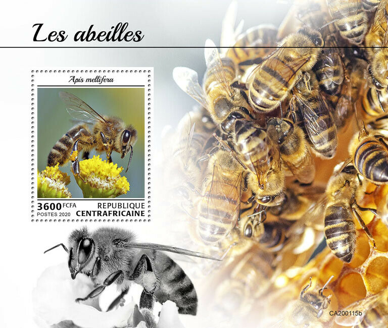Central African Rep Bees Stamps 2020 MNH Honey Bee Insects 1v S/S