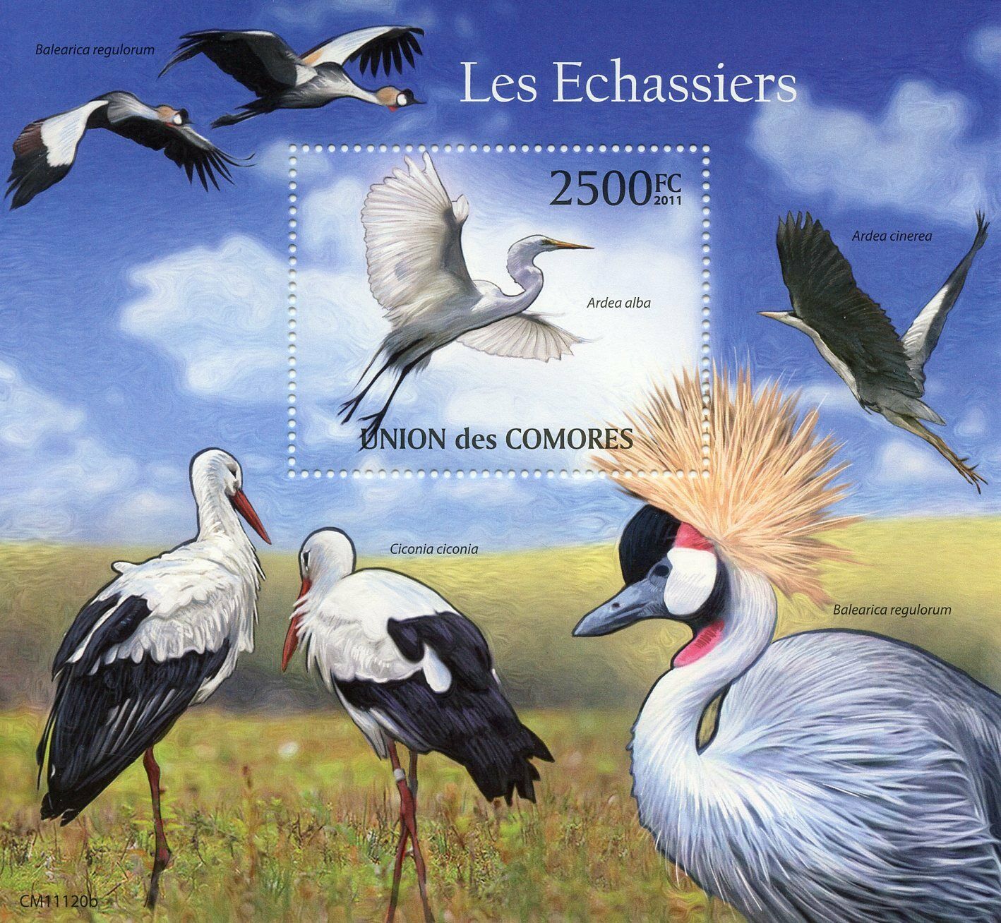 Comoros Birds on Stamps 2011 MNH Waders Herons Cranes Storks Egrets 1v S/S