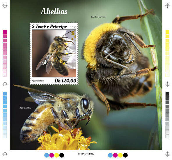 Sao Tome & Principe Bees Stamps 2020 MNH Honey Bee Bumblebee Insects 1v S/S