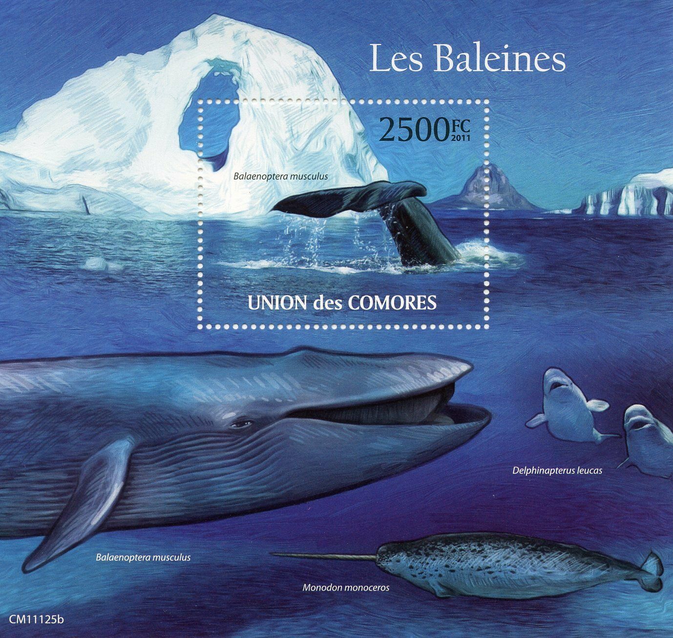 Comoros Marine Animals Stamps 2011 MNH Whales Blue Whale Fauna 1v S/S