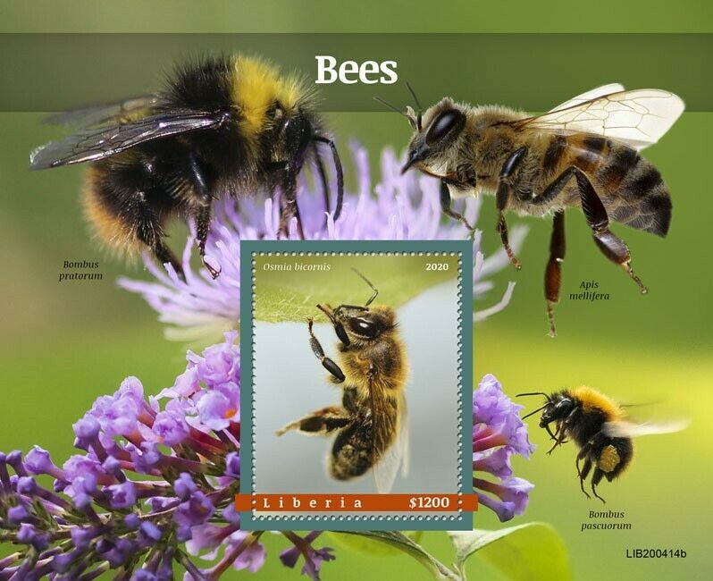 Liberia Bees Stamps 2020 MNH Red Mason Bee Honey Bee Insects 1v S/S