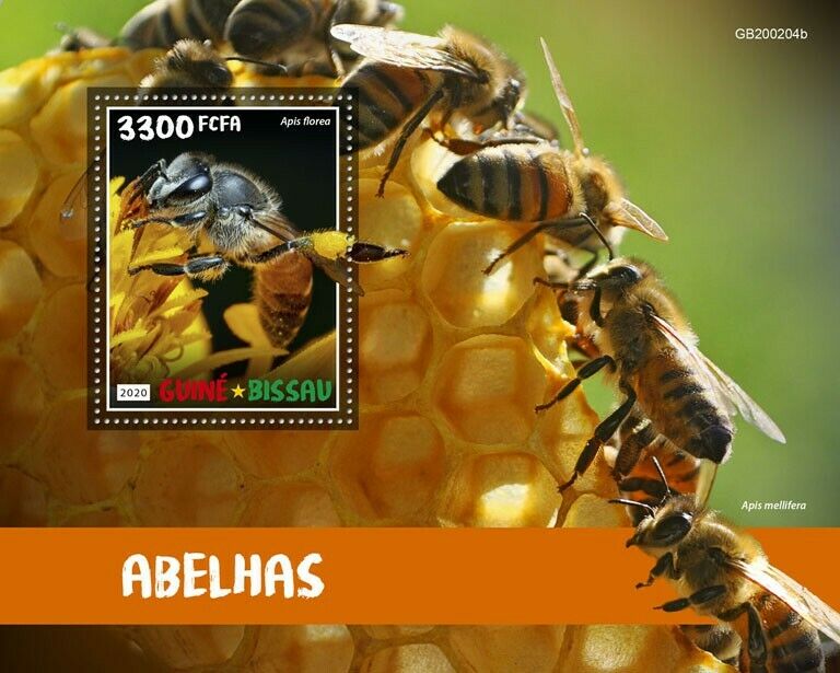 Guinea-Bissau Bees Stamps 2020 MNH Dwarf Honey Bee Insects 1v S/S