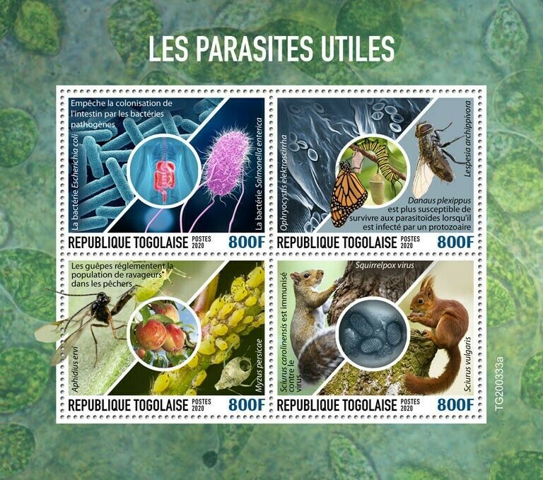 Togo Insects Stamps 2020 MNH Useful Parasites Bugs Butterflies Squirrels 4v M/S