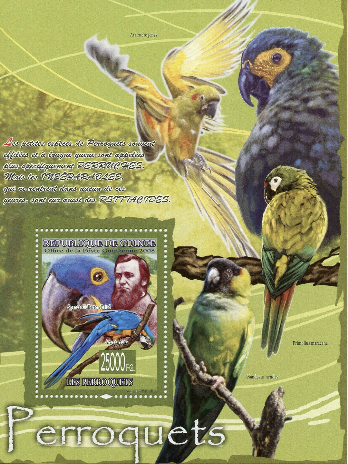 Guinea Birds on Stamps 2008 MNH Parrots Macaws Spencer Fullerton Baird 1v S/S
