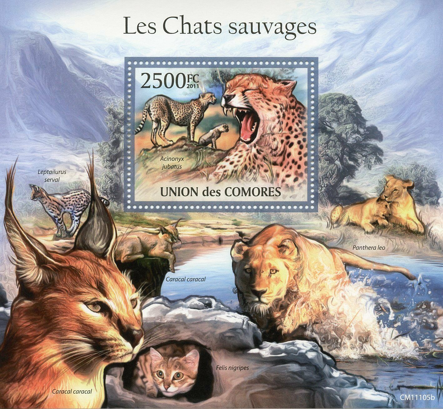 Comoros Wild Animals Stamps 2011 MNH Cheetahs Caracal Big Cats Fauna 1v S/S