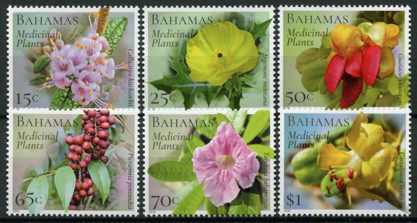 Bahamas 2020 MNH Flowers Stamps Medicinal Plants Nature Flora 6v Set