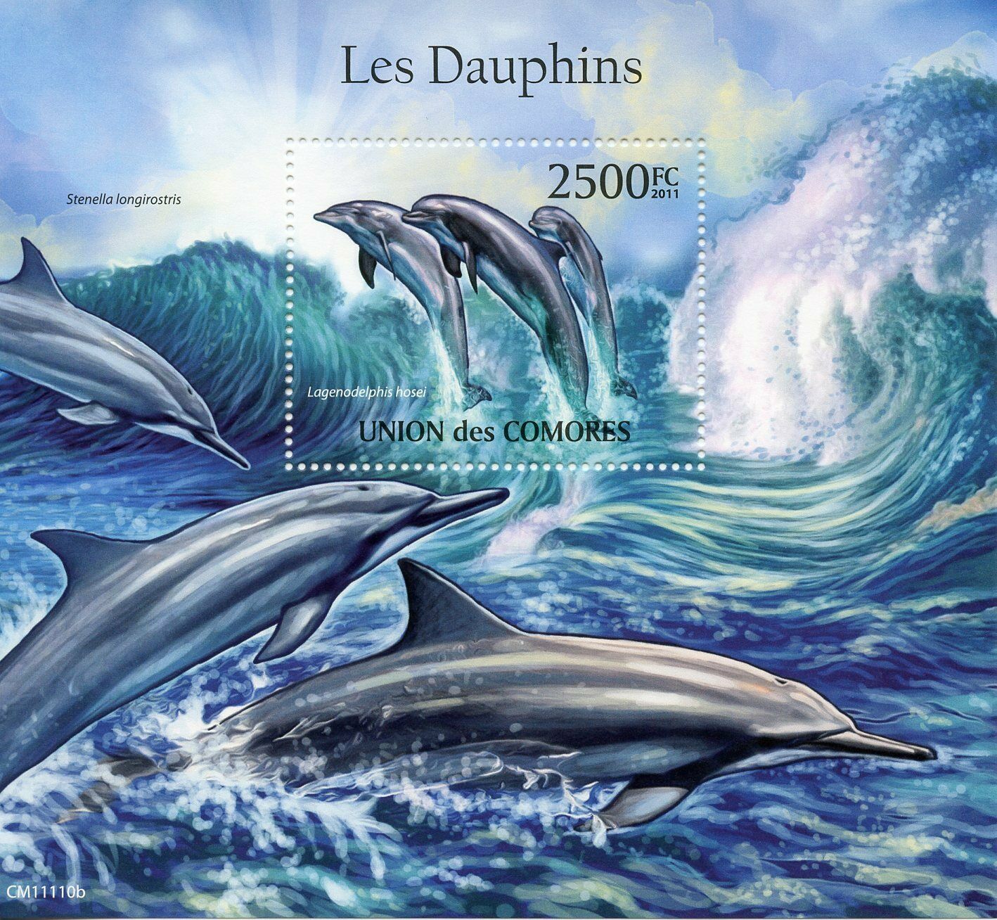 Comoros Marine Animals Stamps 2011 MNH Dolphins Fraser's Dolphin Fauna 1v S/S