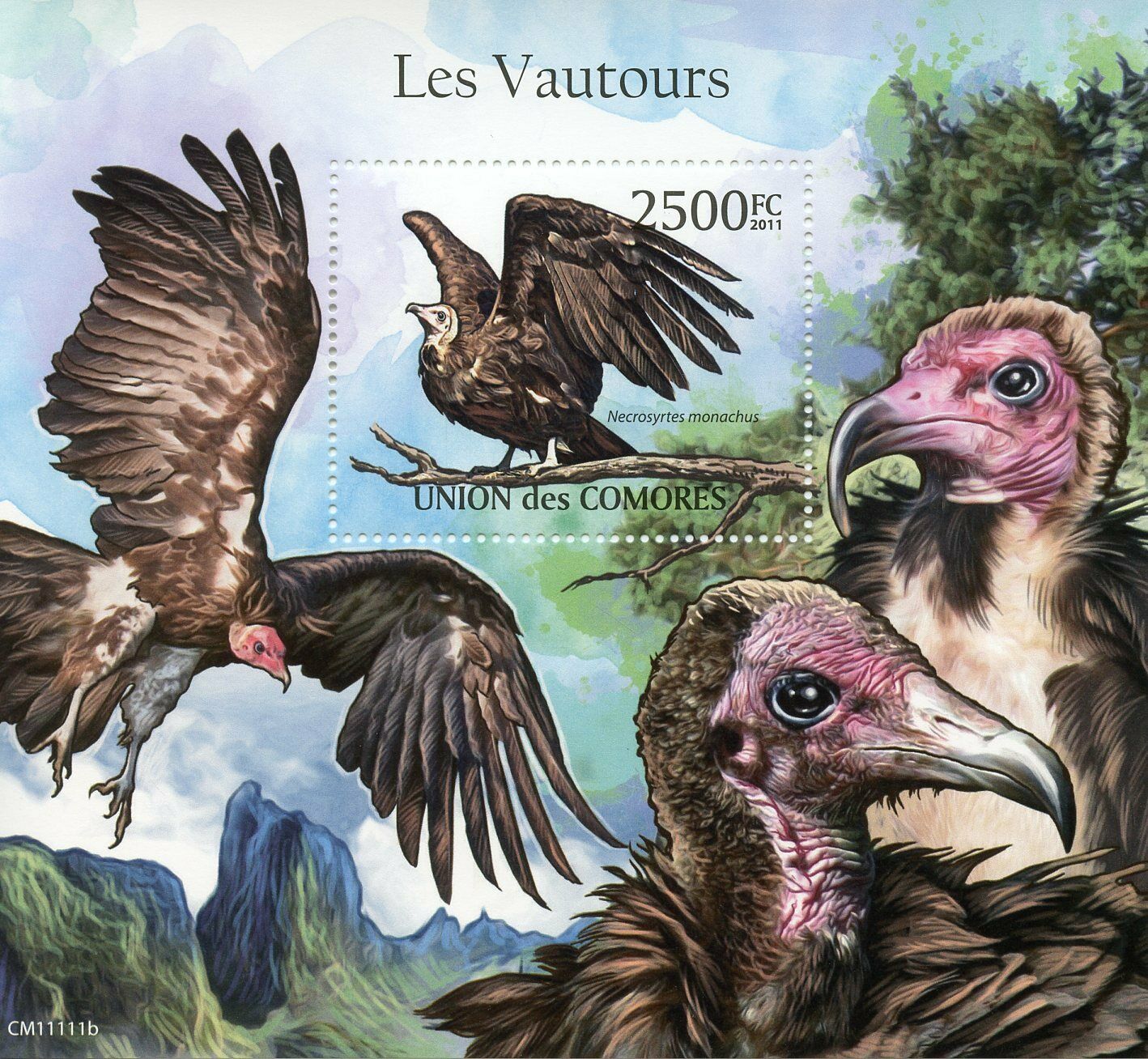 Comoros Birds of Prey on Stamps 2011 MNH Vultures Hooded Vulture Fauna 1v S/S