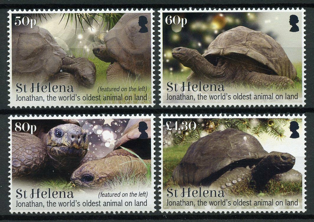 St Helena 2019 MNH Turtles Stamps Jonathan Oldest Land Animal Tortoises 4v Set