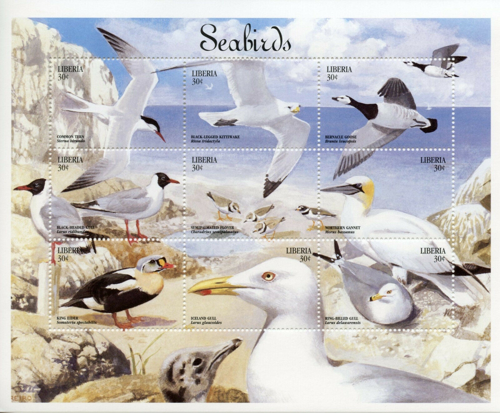 Liberia 1999 MNH Birds on Stamps Seabirds Gulls Ducks Terns Geese 9v M/S I