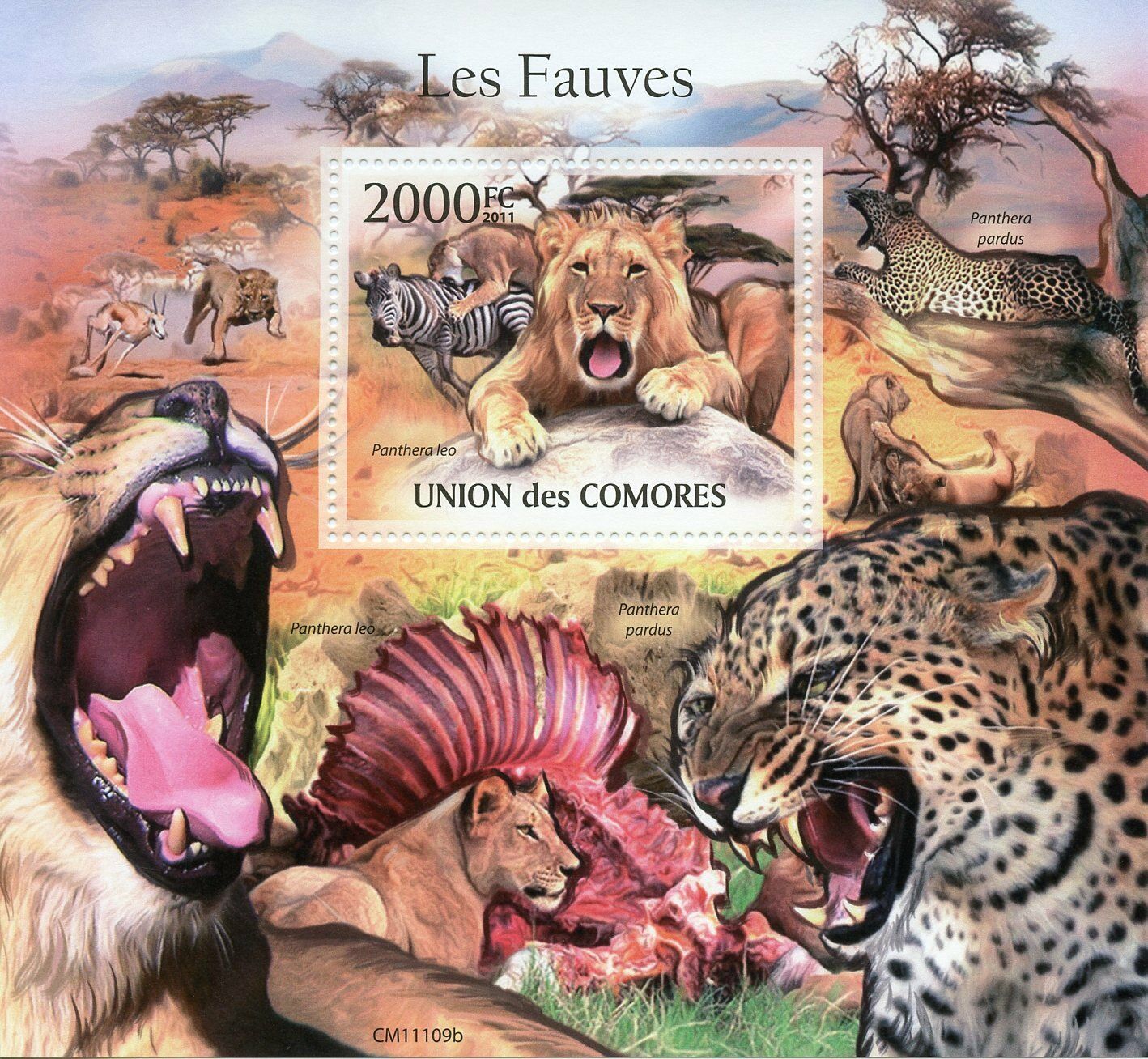 Comoros Wild Animals Stamps 2011 MNH Big Cats Lions Leopards Fauna 1v S/S