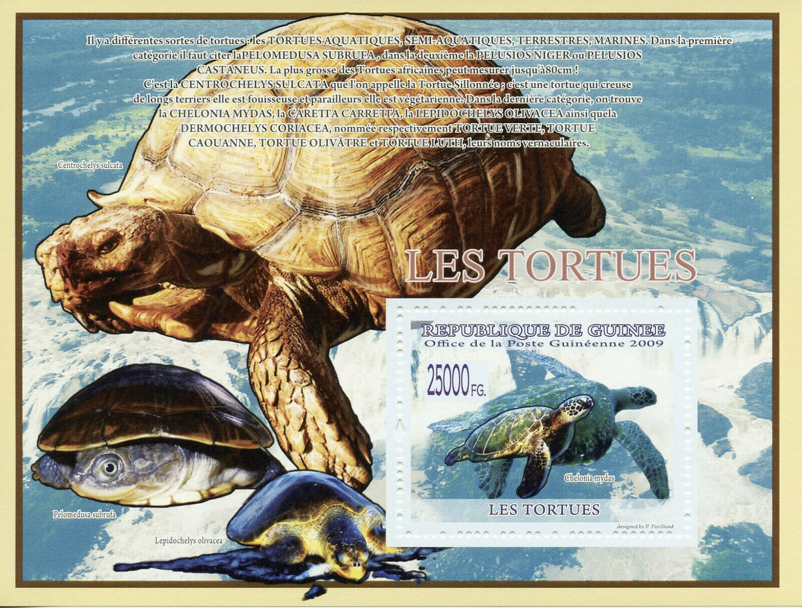 Guinea Turtles Stamps 2009 MNH Green Sea Turtle Reptiles 1v S/S