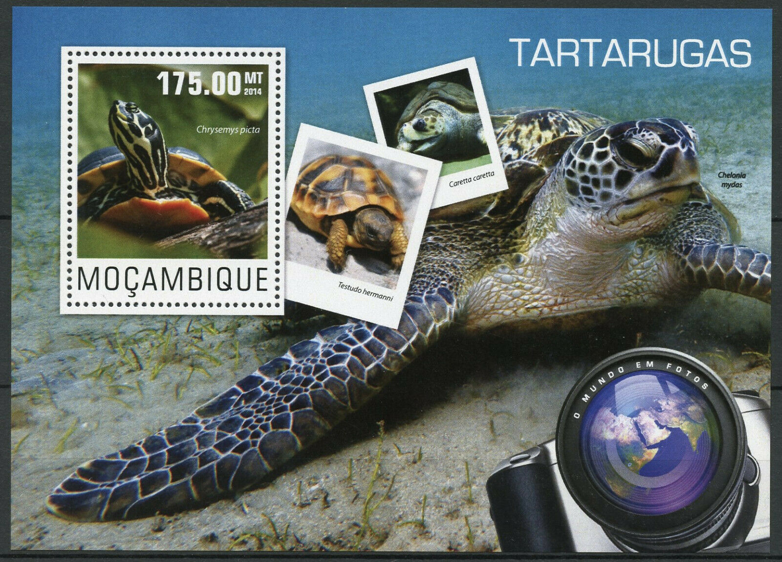 Mozambique Reptiles Stamps 2014 MNH Painted Loggerhead Sea Turtles Fauna 1v S/S