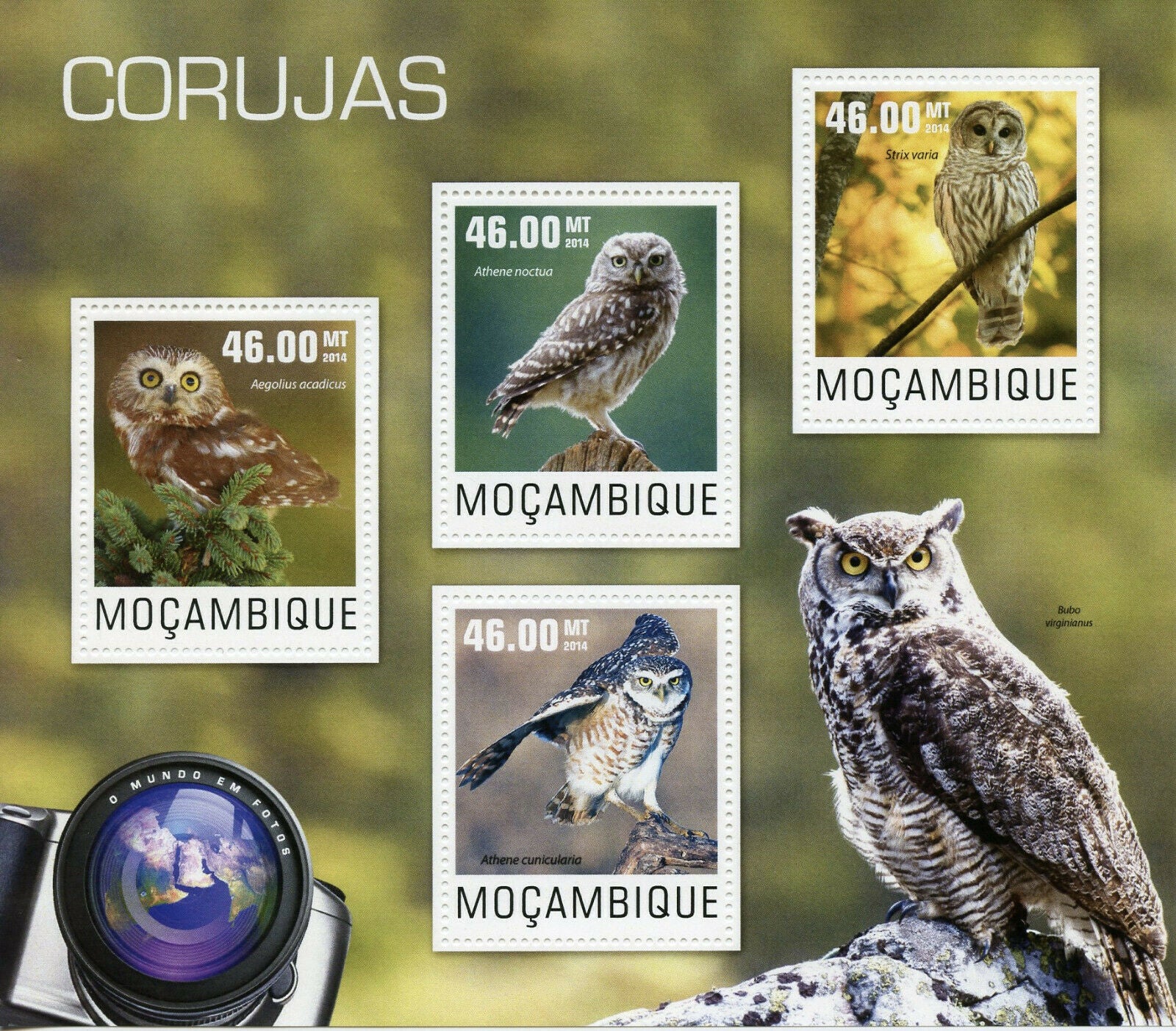 Mozambique Birds Stamps 2014 MNH Owls Barred Saw-Whet Little Owl 4v M/S