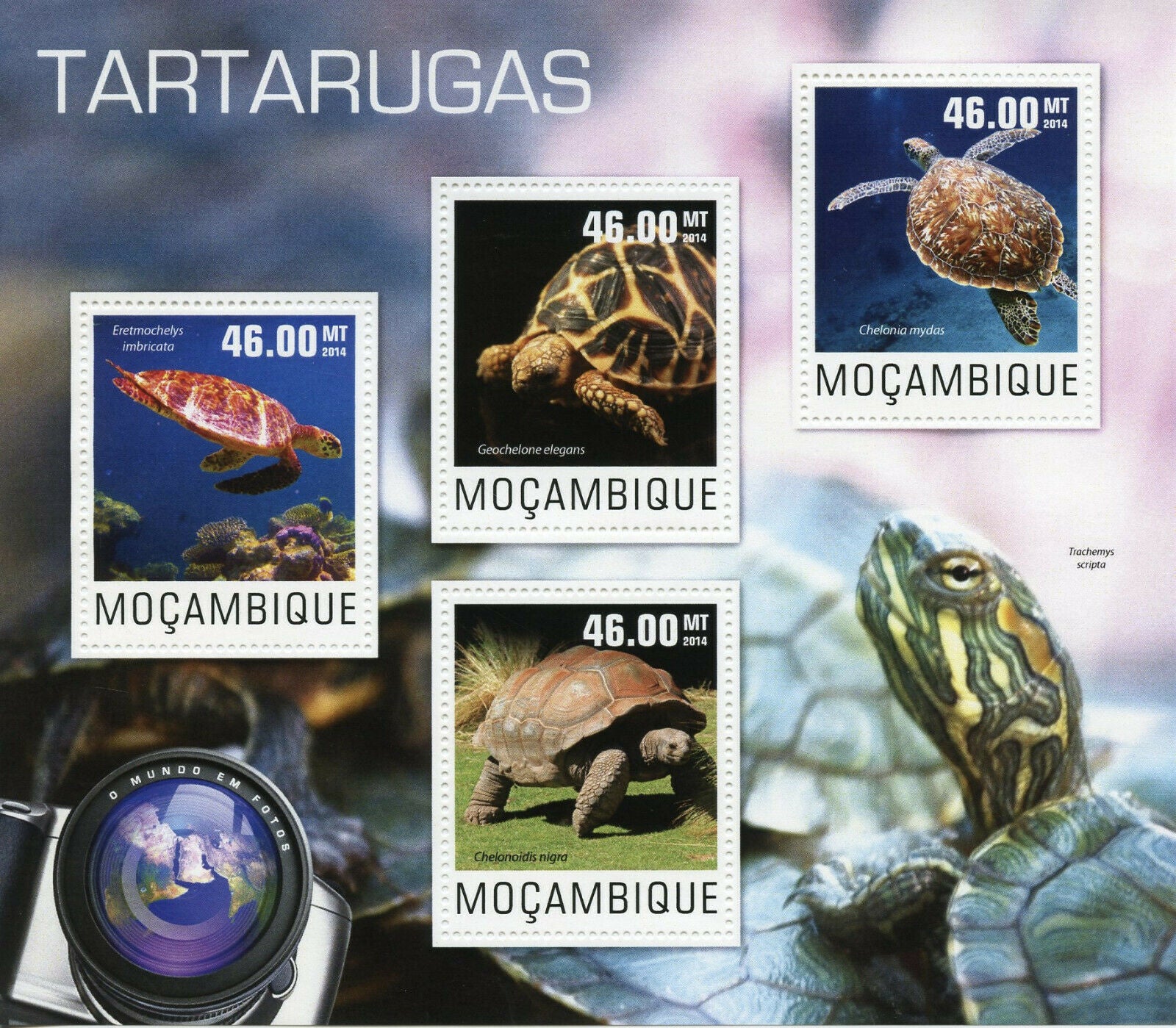 Mozambique Reptiles Stamps 2014 MNH Green Sea Turtles Galapagos Tortoises 4v M/S