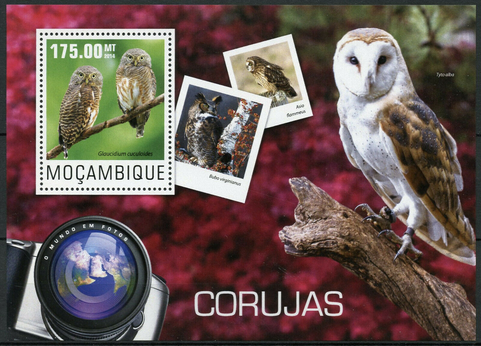 Mozambique Birds Stamps 2014 MNH Owls Asian Barred Owlet Barn Owl 1v S/S
