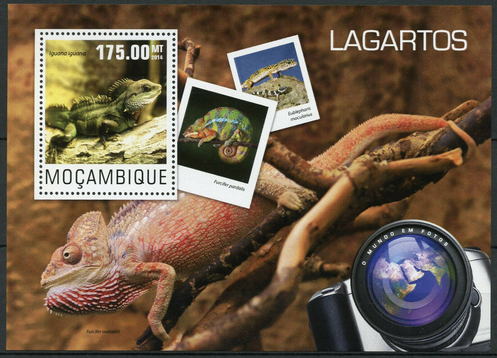 Mozambique Reptiles Stamps 2014 MNH Lizards Igaunas Chameleons Fauna 1v S/S