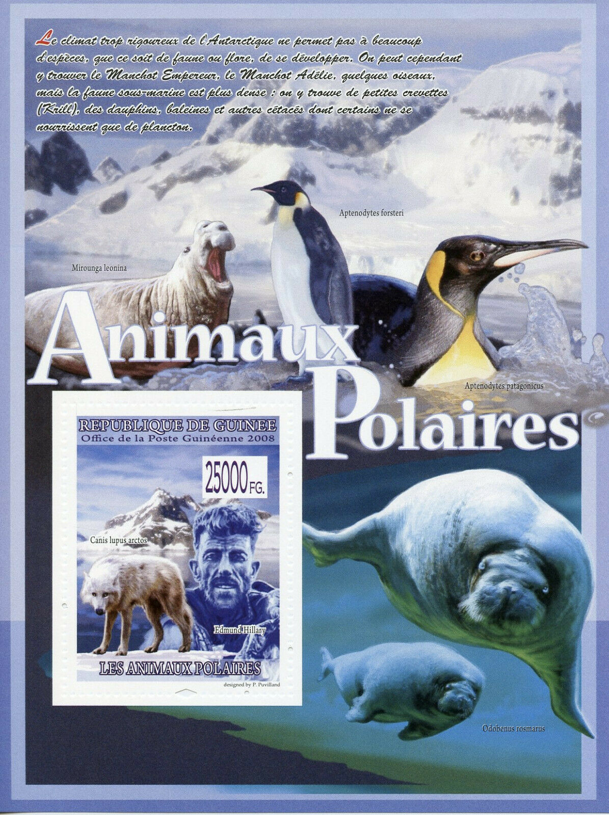 Guinea Polar Wild Animals Stamps 2008 MNH Arctic Wolf Edmud Hillary 1v S/S II