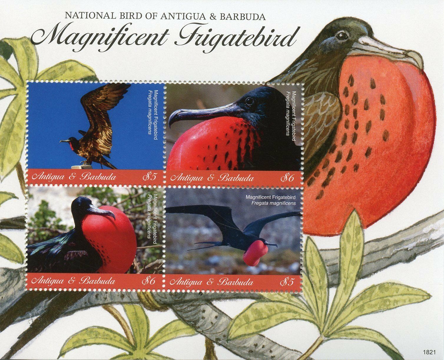 Antigua & Barbuda 2018 MNH Birds on Stamps Magnificent Frigatebird 4v M/S