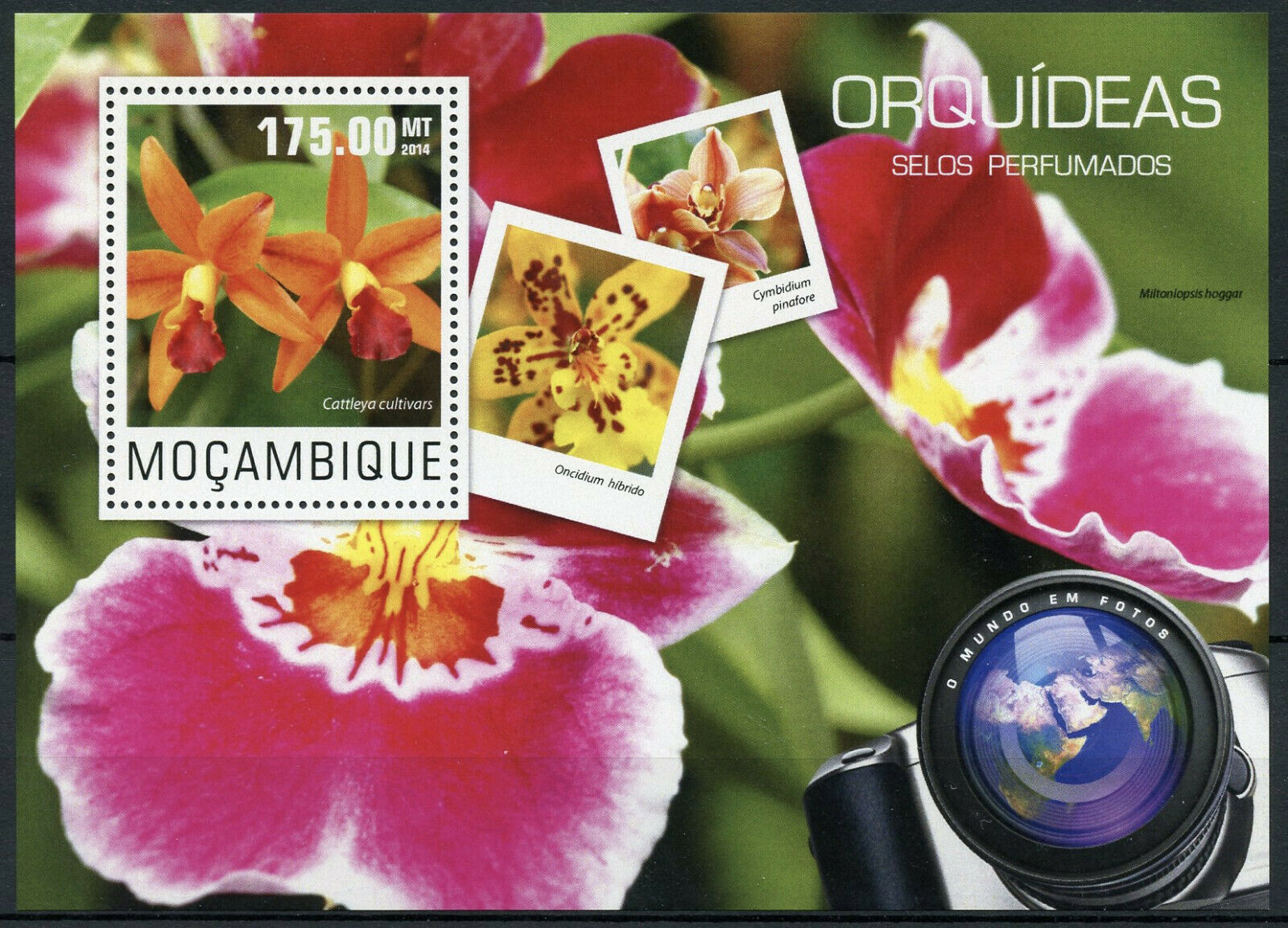 Mozambique Flowers Stamps 2014 MNH Cattleya Orchid Flora Nature 1v S/S