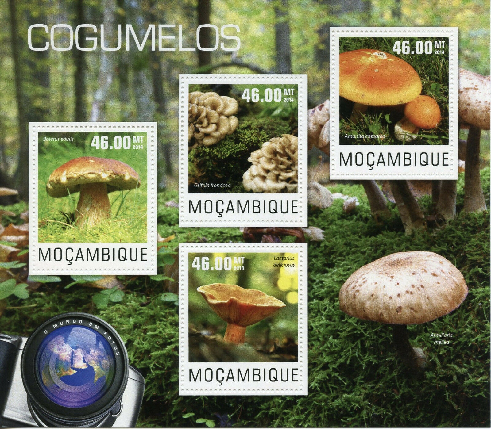 Mozambique Mushrooms Stamps 2014 MNH Boletus Mushroom Fungi Nature 4v M/S