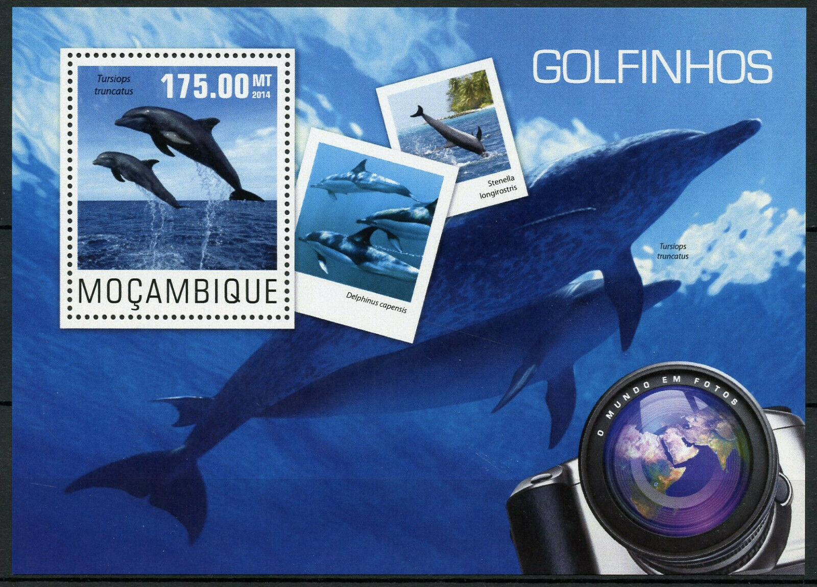 Mozambique Marine Animals Stamps 2014 MNH Bottlenose Dophins Fauna 1v S/S