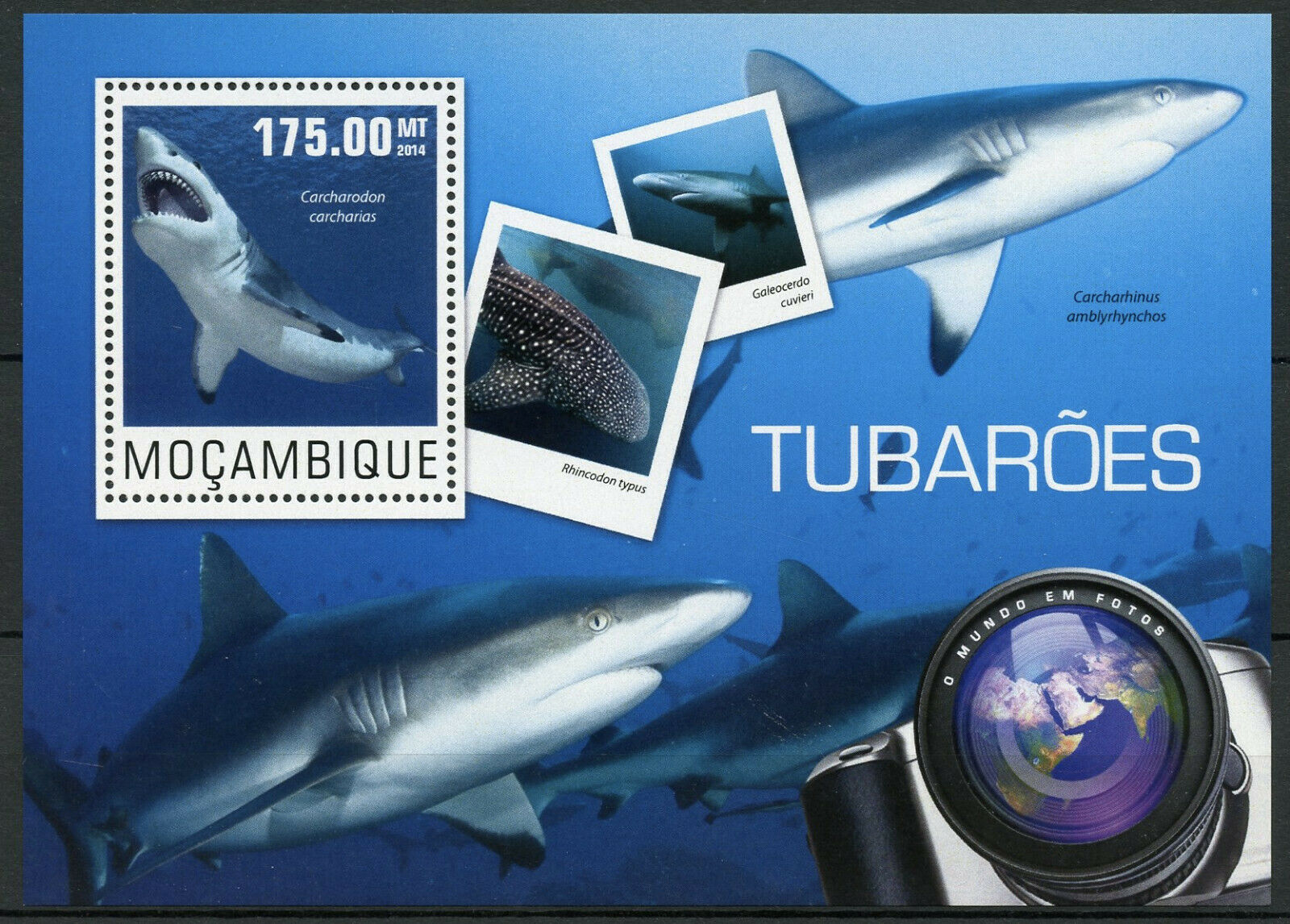 Mozambique Marine Animals Stamps 2014 MNH Great White Sharks Fauna 1v S/S