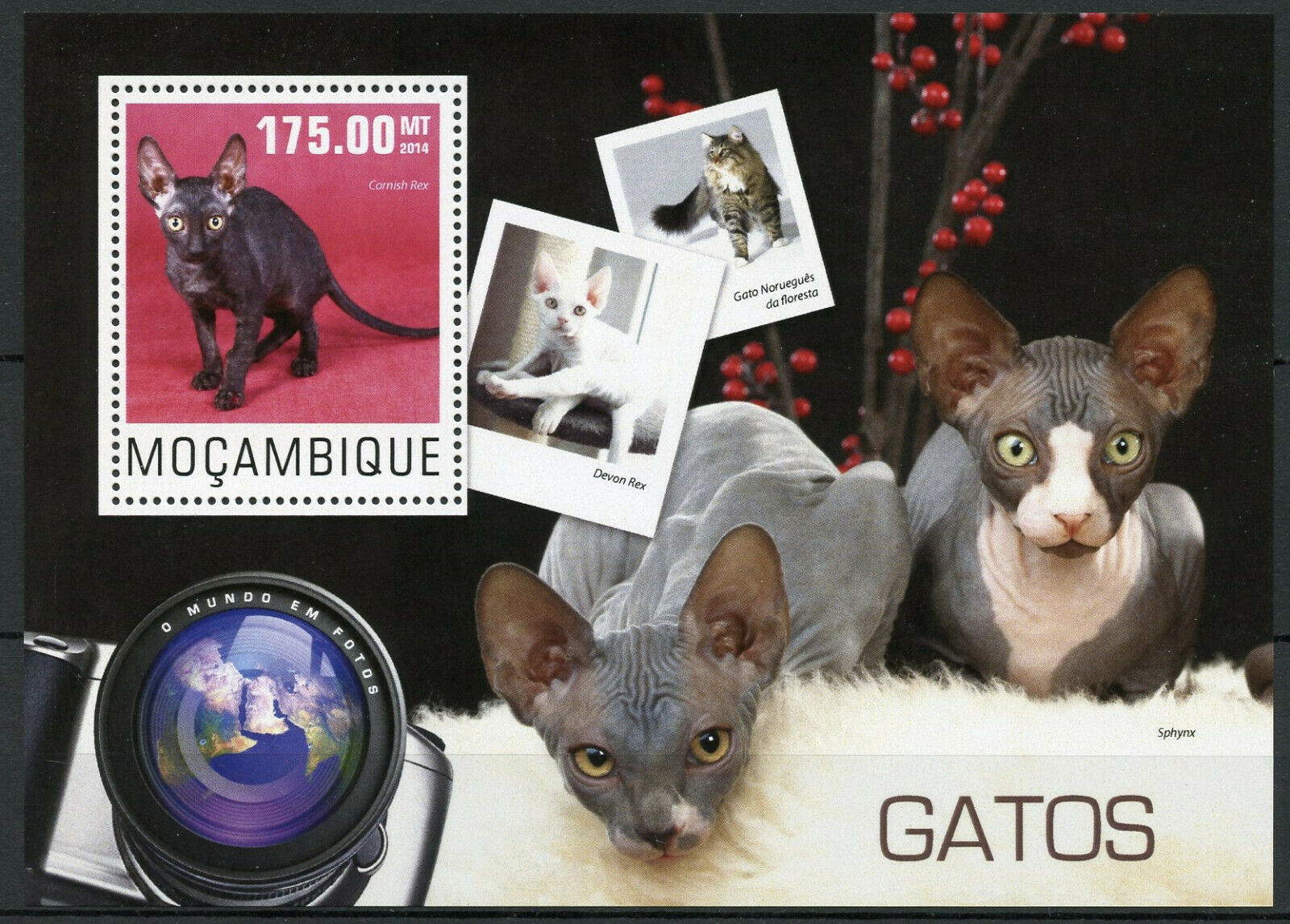 Mozambique Cats Stamps 2014 MNH Devon Cornish Rex Sphynx Cat 1v S/S