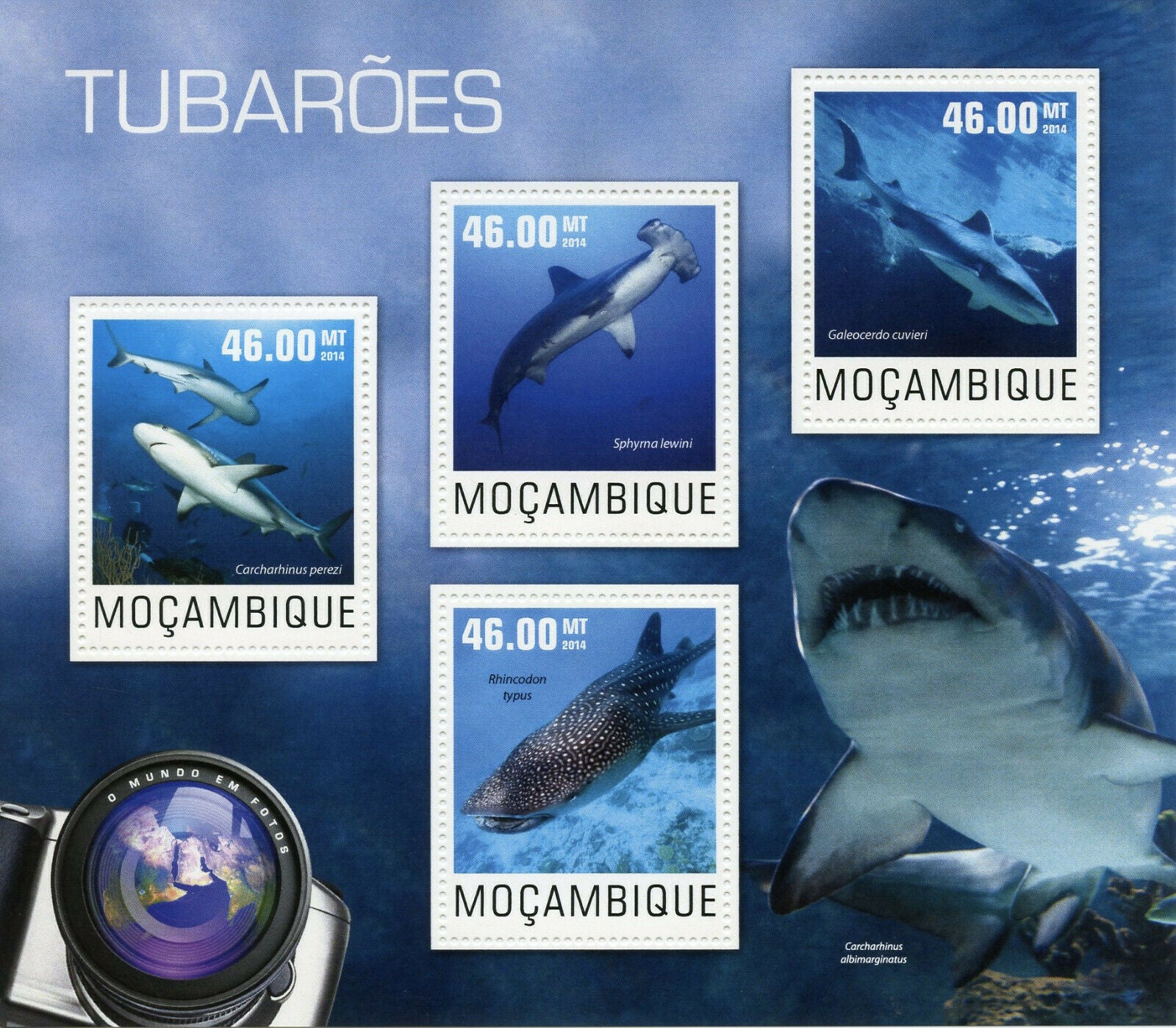Mozambique Marine Animals Stamps 2014 MNH Hammerhead Whale Sharks Fauna 4v M/S