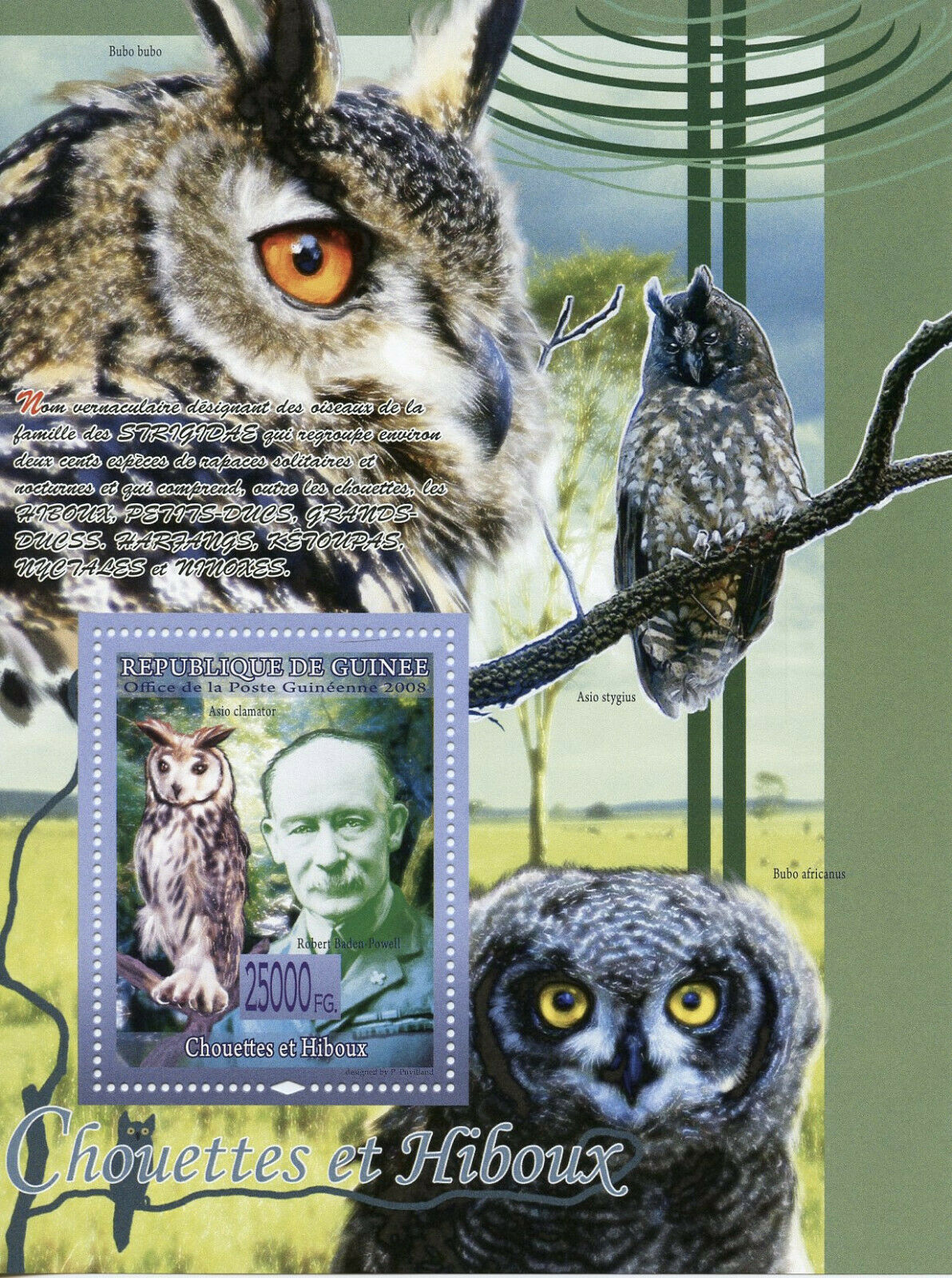 Guinea Scouting & Owls Stamps 2008 MNH Birds Owl Scouts Baden-Powell 1v S/S II