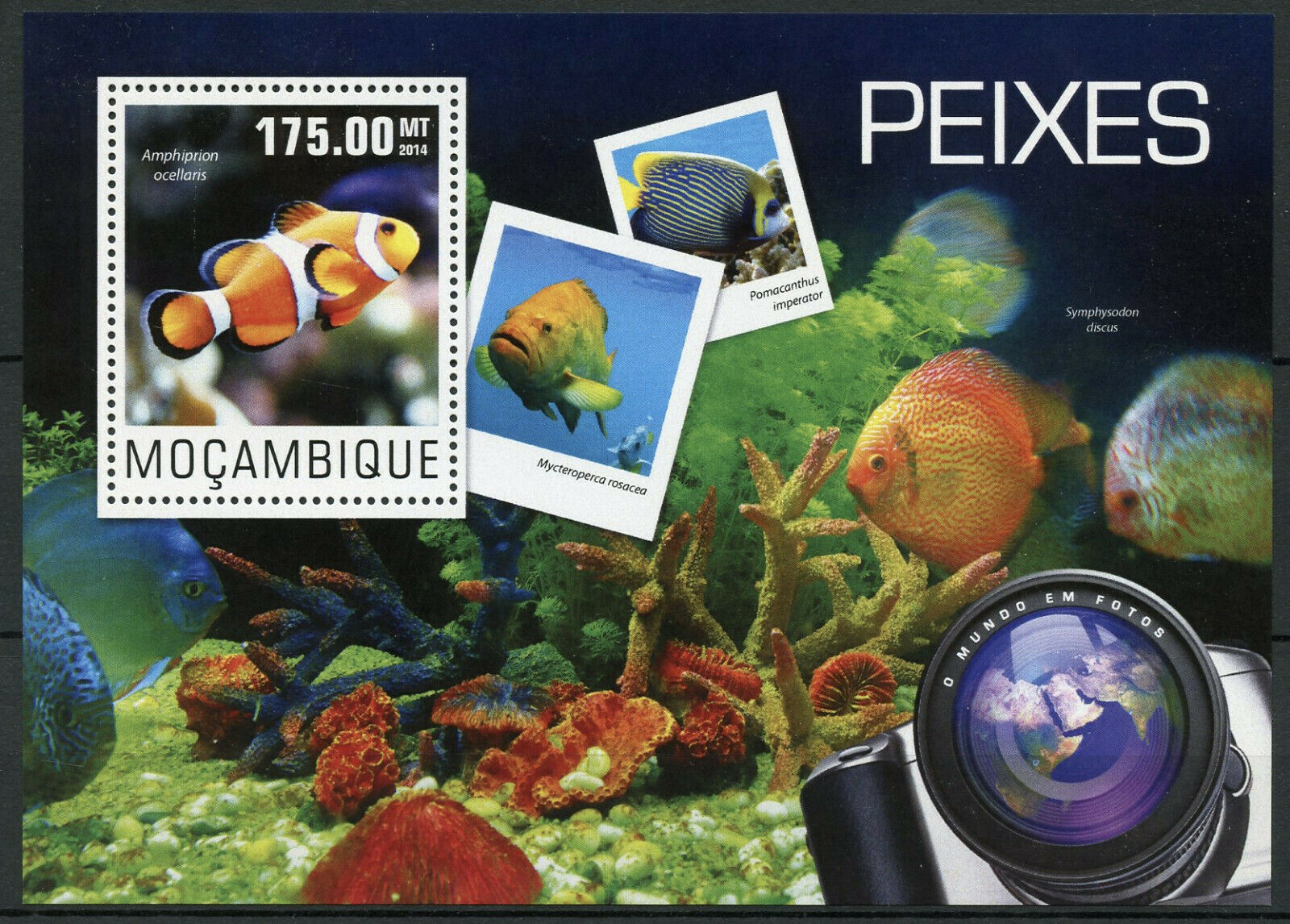 Mozambique Fish Stamps 2014 MNH Ocellaris Clownfish Fishes Marine 1v S/S