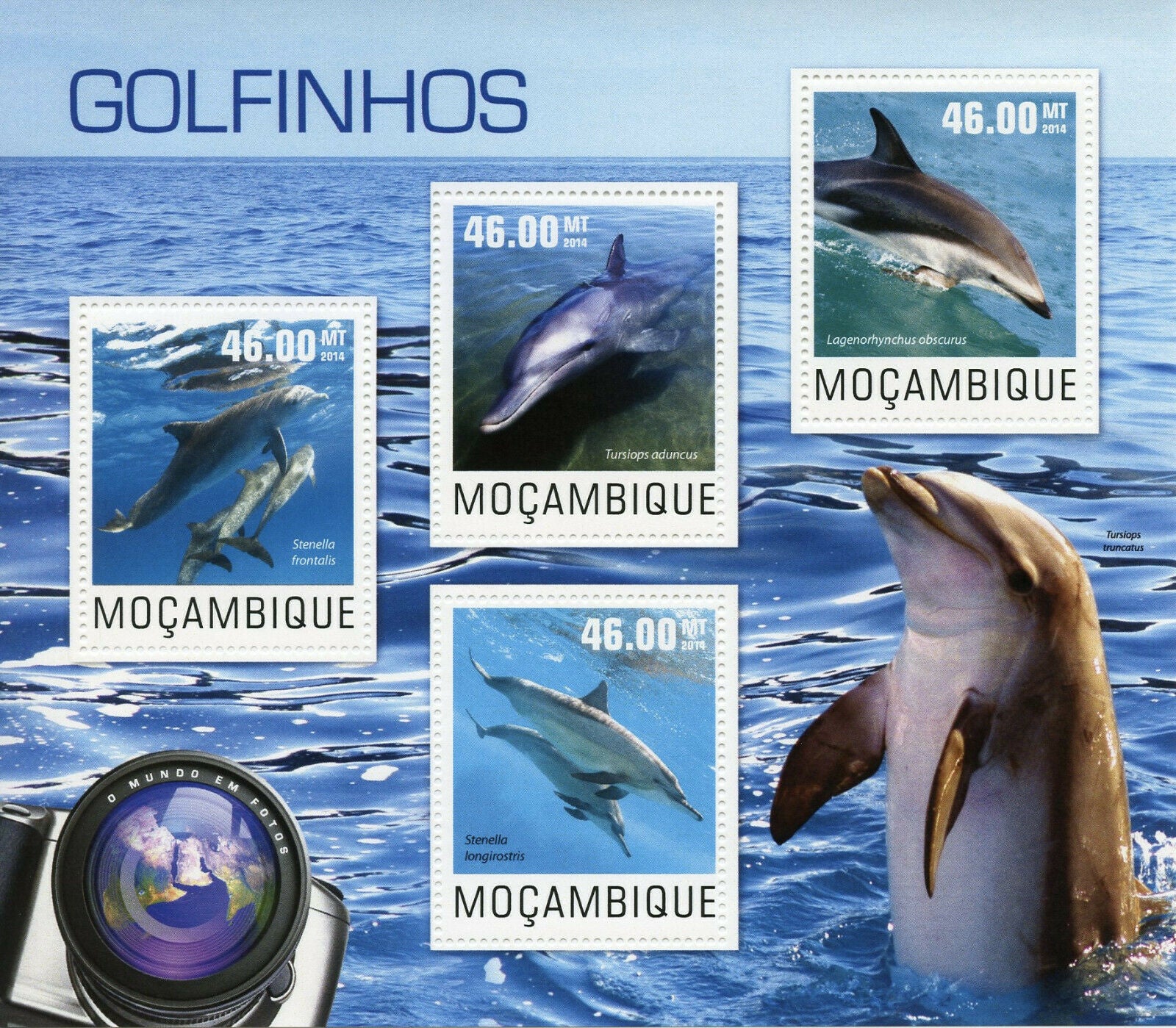 Mozambique Marine Animals Stamps 2014 MNH Spotted Bottlenose Dophins 4v M/S