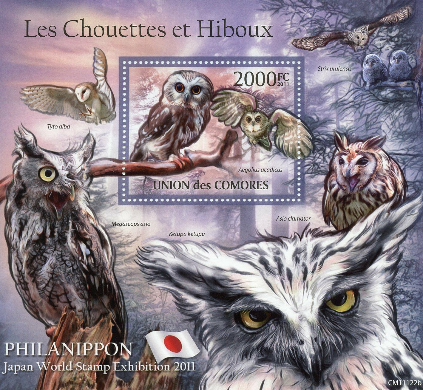 Comoros Birds of Prey on Stamps 2011 MNH Owls Barn Owl Philanippon 1v S/S