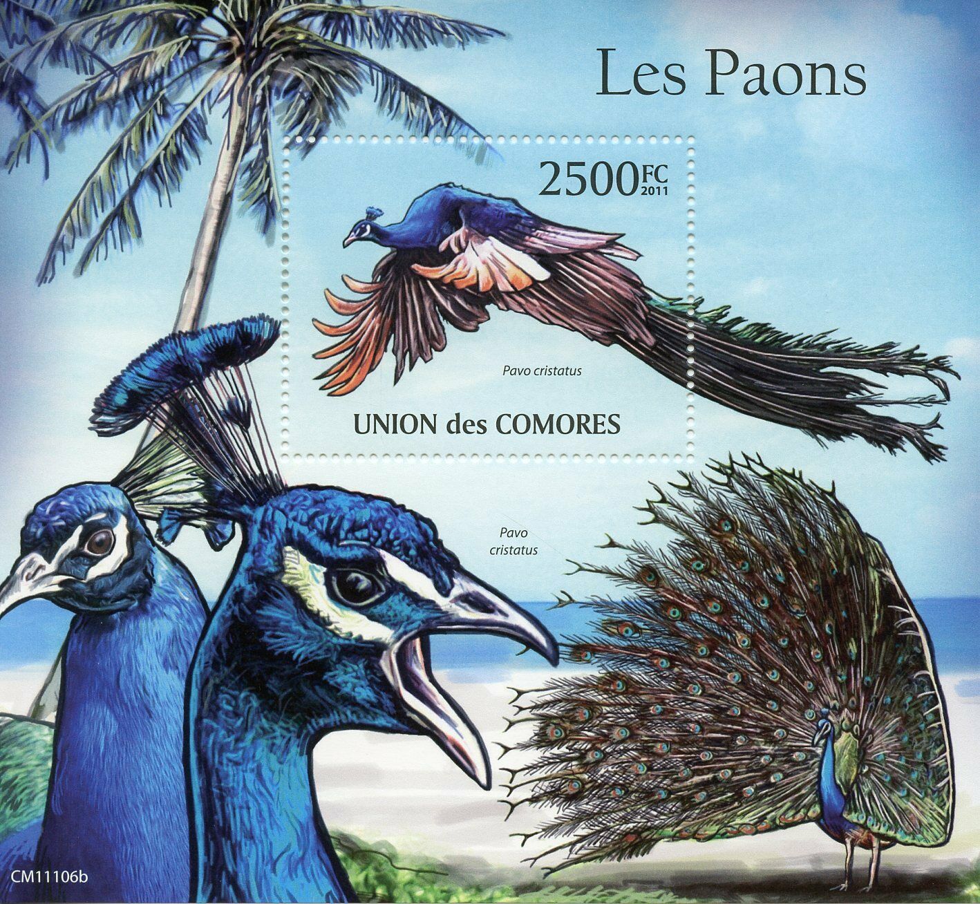 Comoros Birds on Stamps 2011 MNH Peacocks Indian Peafowl Fauna 1v S/S