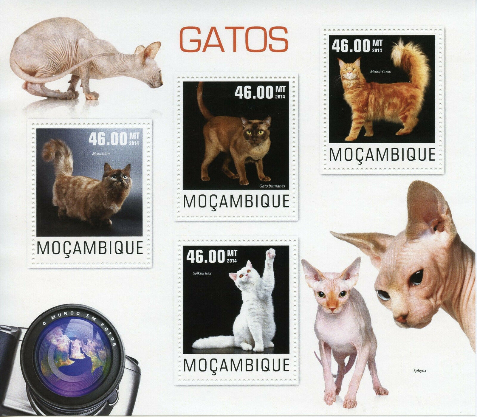 Mozambique Cats Stamps 2014 MNH Maine Coon Selkirk Rex Birman Cat 4v M/S