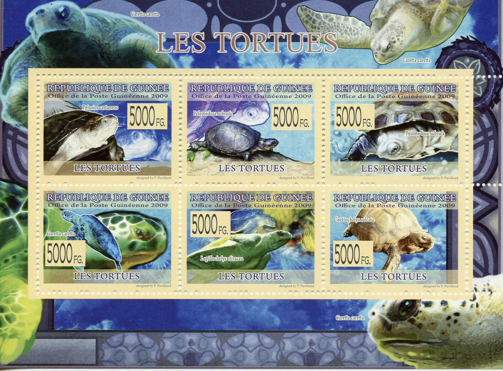 Guinea Turtles Stamps 2009 MNH Olive Ridley Loggerhead Sea Turtle Reptiles 6v MS