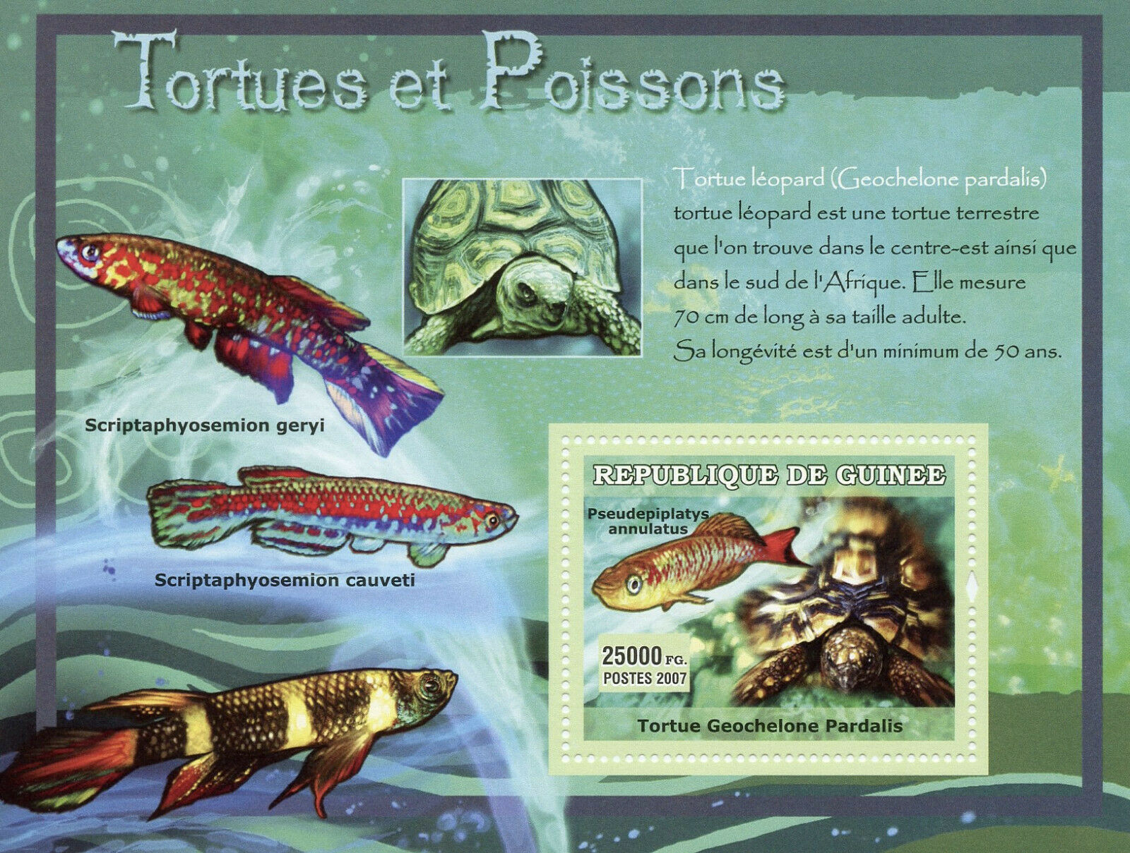 Guinea Turtles & Fish Stamps 2007 MNH Leopard Tortoise Fishes Reptiles 1v S/S II