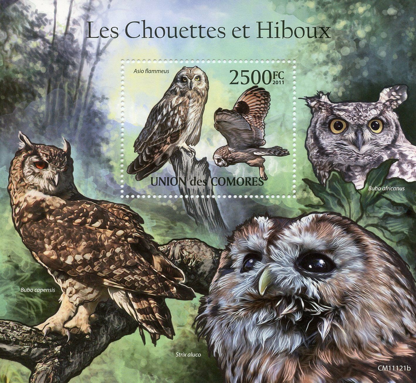 Comoros Birds of Prey on Stamps 2011 MNH Owls Short-Eared Owl Fauna 1v S/S